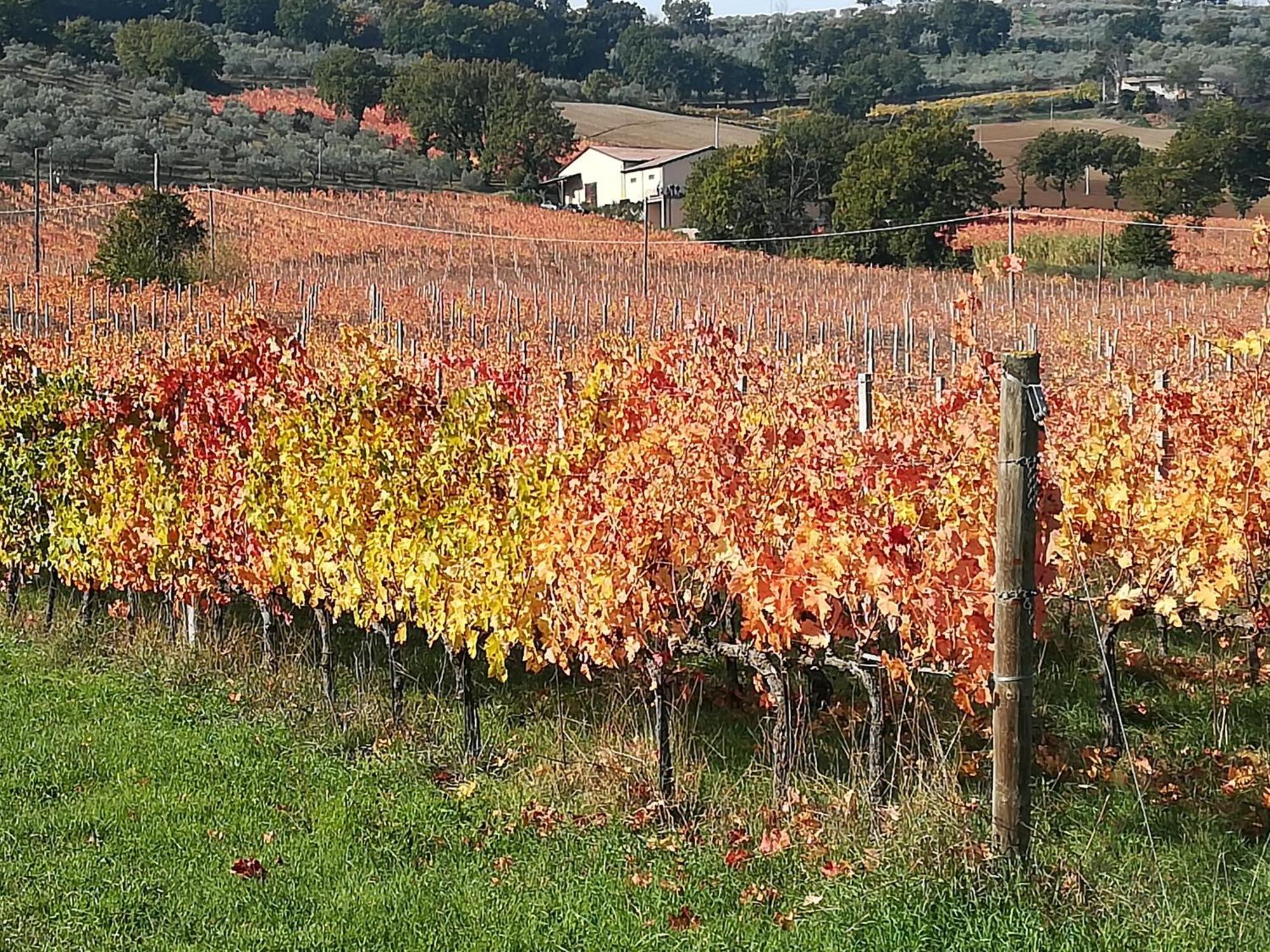 Antico Gioiello Umbro , Appartamento Con Terrazza Фолиньо Экстерьер фото
